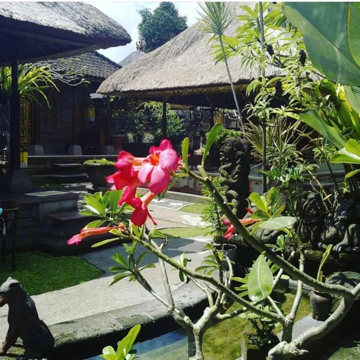Family Guest House Ubud Exteriör bild